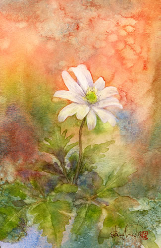watercolor-flower-水彩画