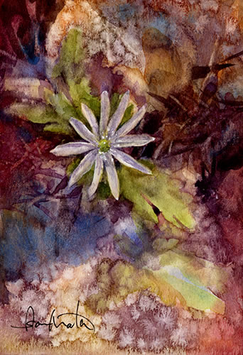 watercolor-flower-水彩画