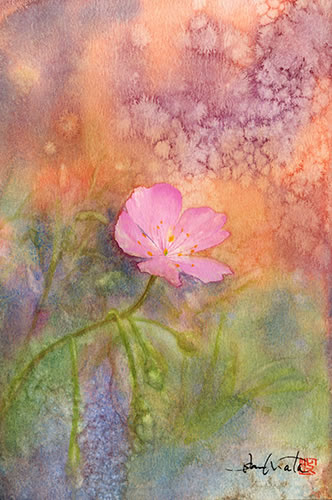 watercolor-flower-水彩画