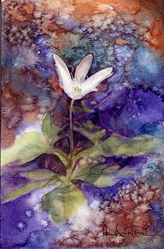 watercolor-flower-水彩画