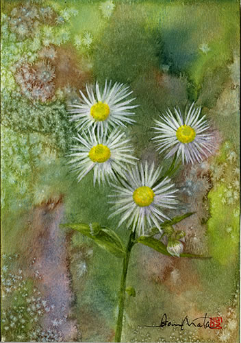 watercolor-flower-水彩画