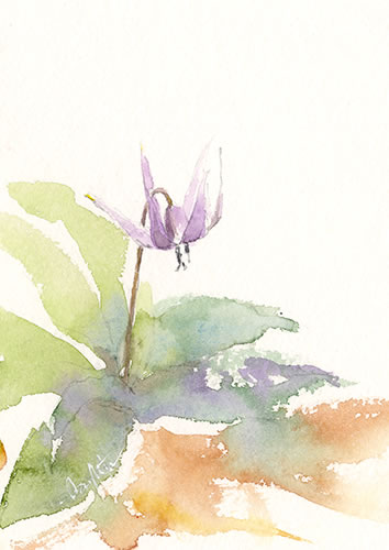 watercolor-flower-水彩画