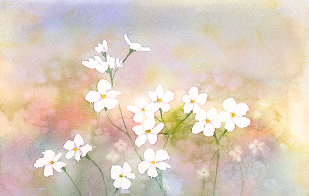 watercolor-flower-水彩画